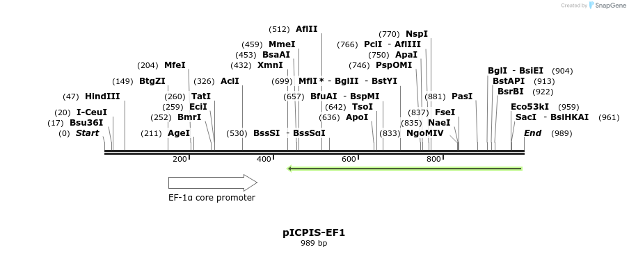 139343_map