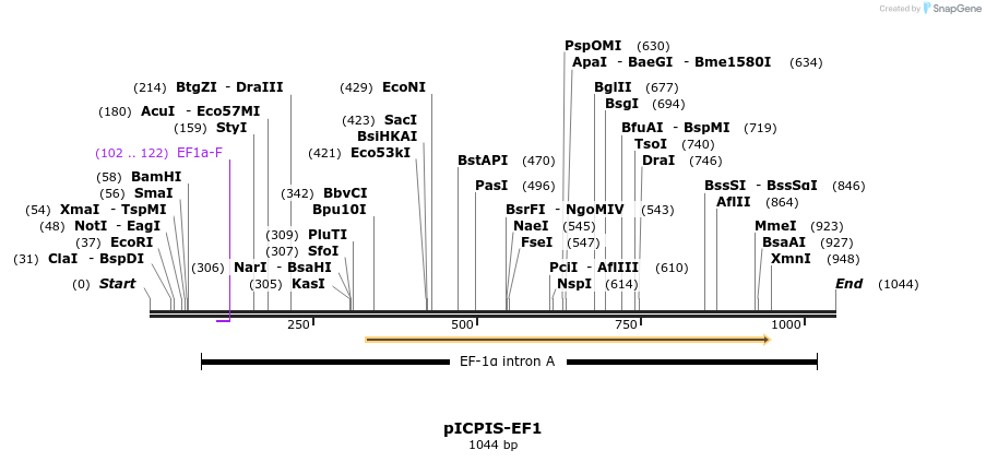 139344_map