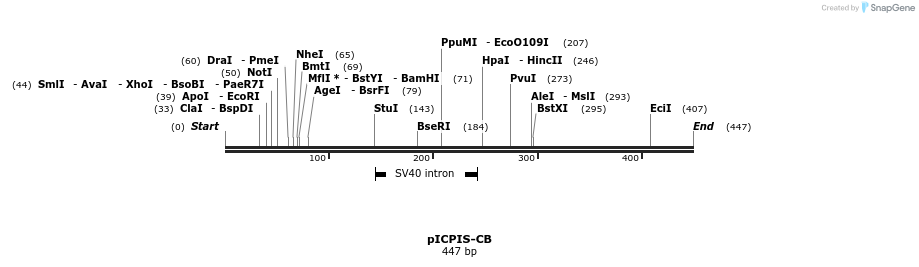 139349_map