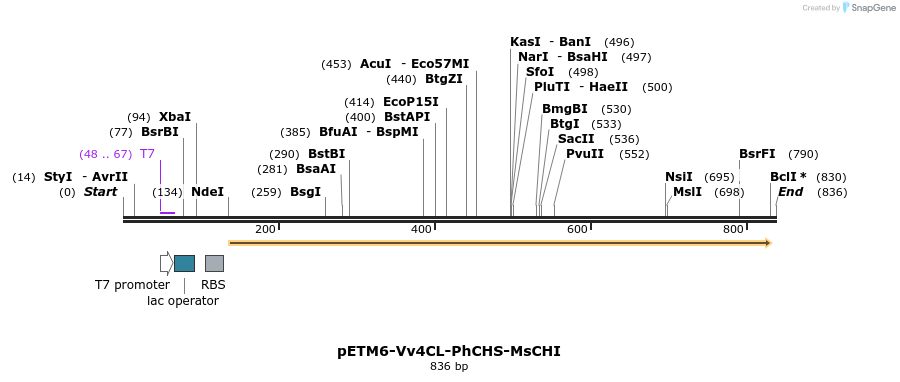 139351_map
