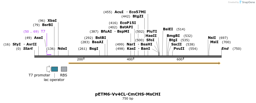 139353_map