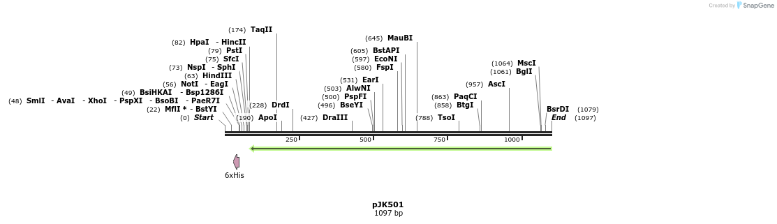 139354_map