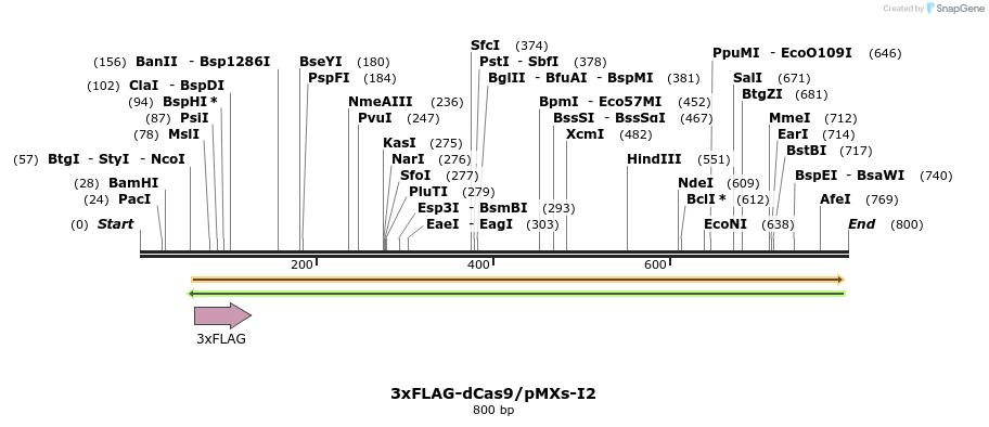139370_map