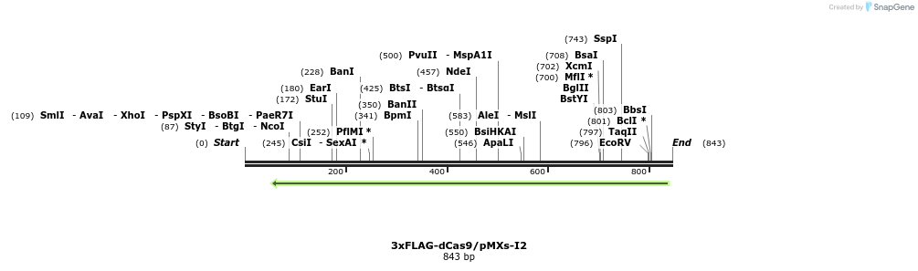 139371_map