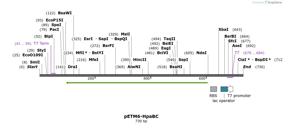 139373_map