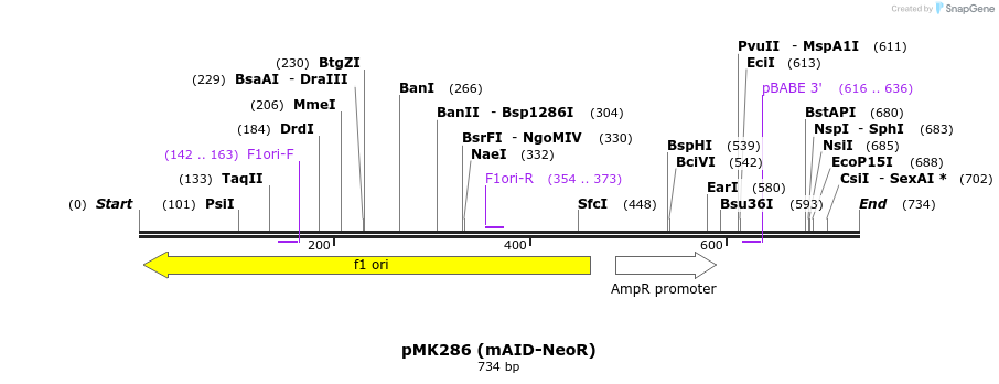 139376_map