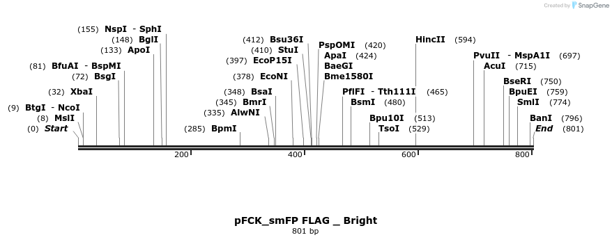 139378_map