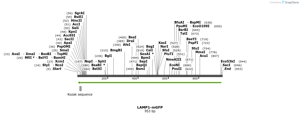 139384_map