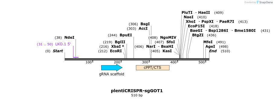 139388_map