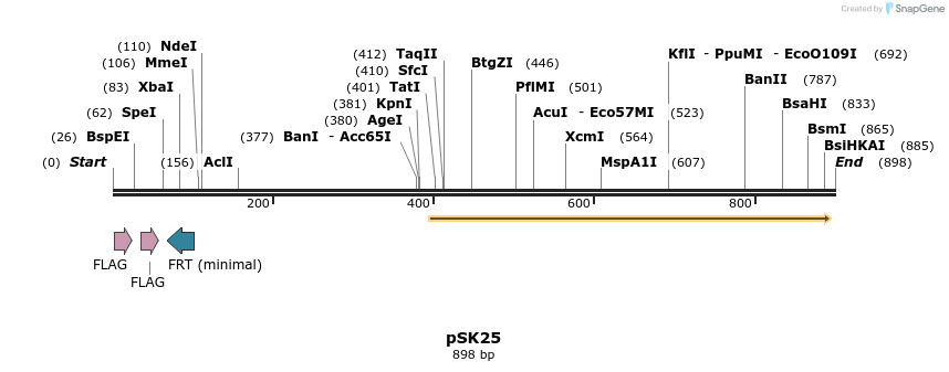 139405_map