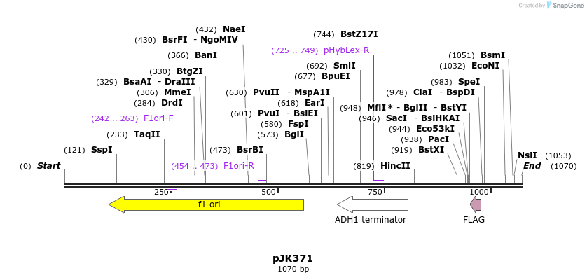 139407_map