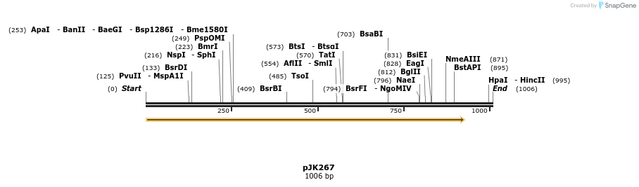 139409_map