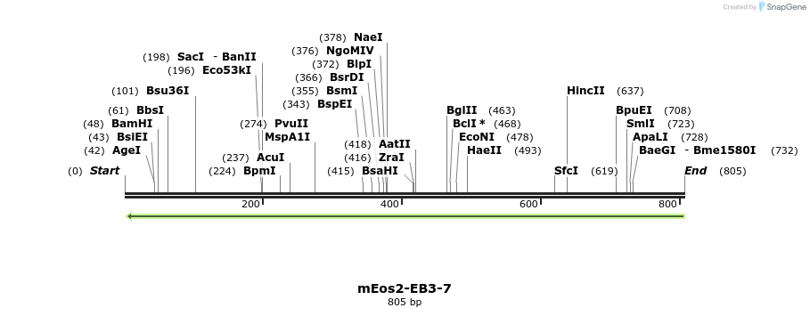 139411_map