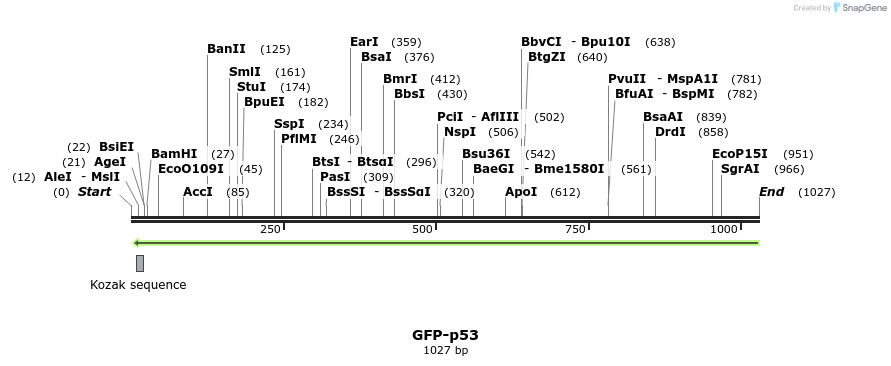 139417_map