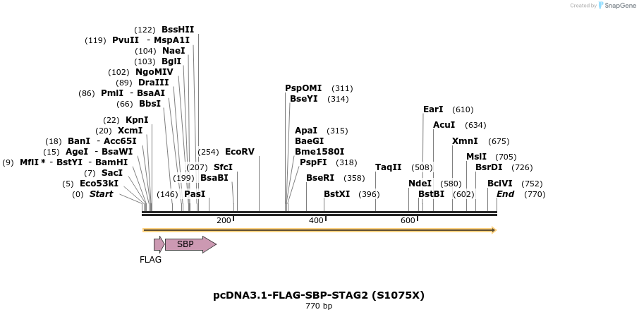 139420_map