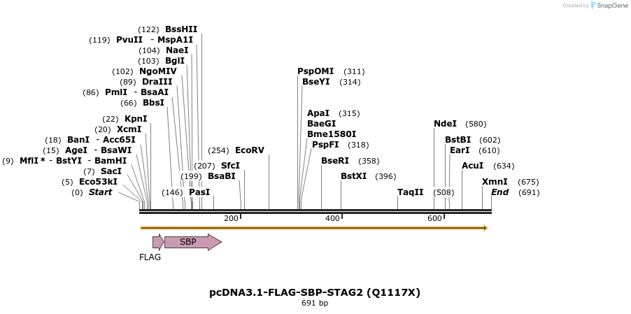 139421_map