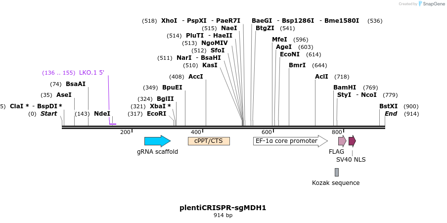 139423_map