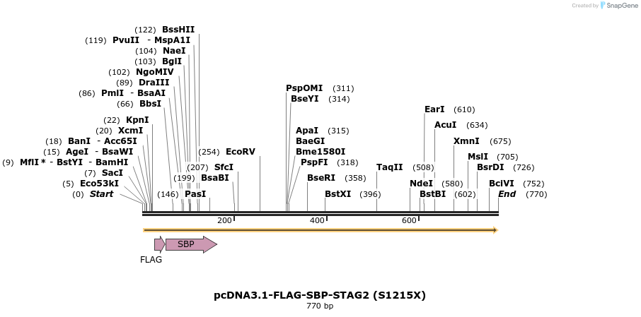 139424_map