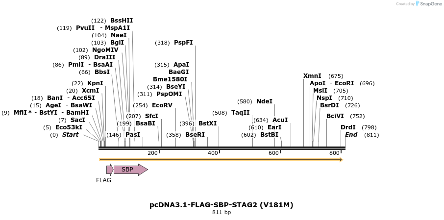 139427_map