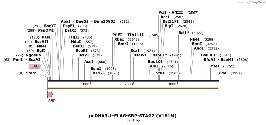 139428_map