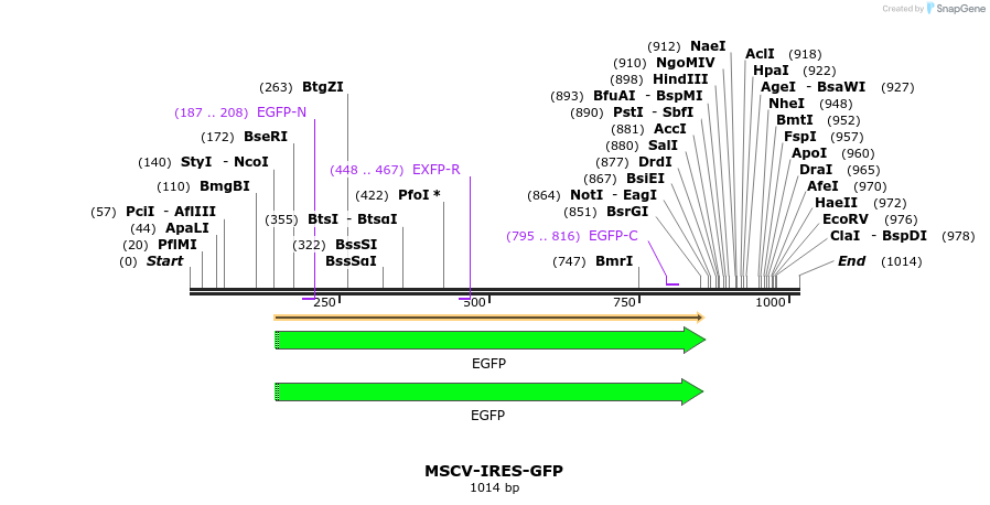 139432_map
