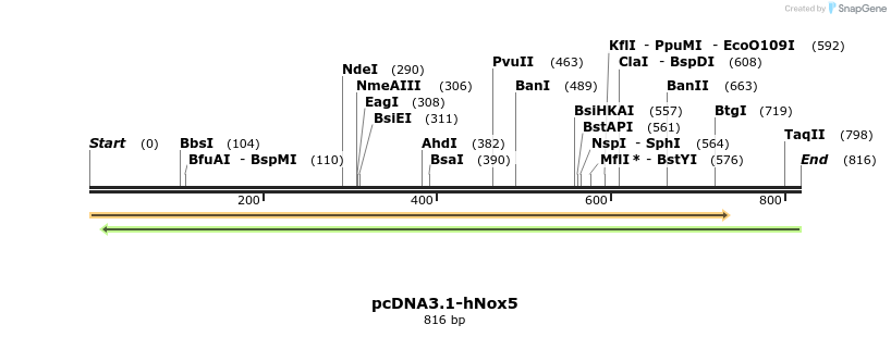 139440_map