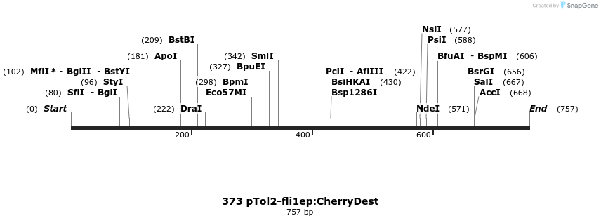 139453_map