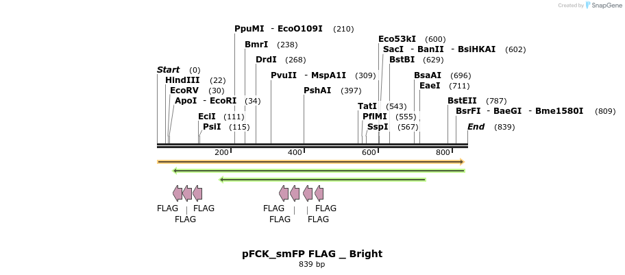 139458_map