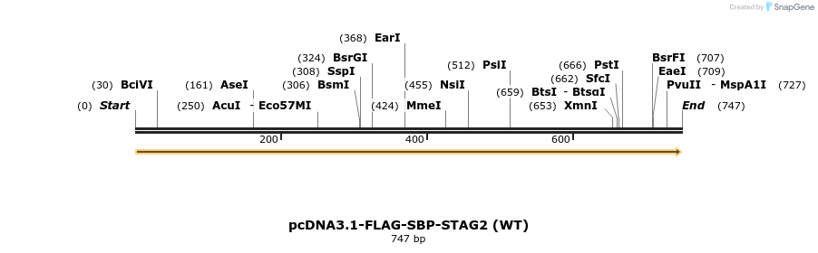 139462_map