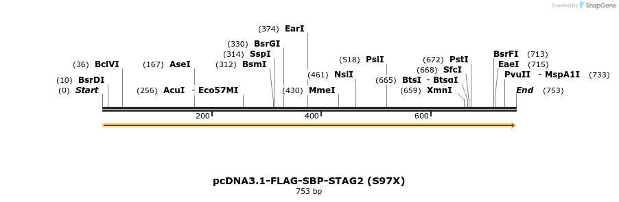139463_map