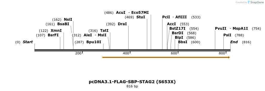 139464_map