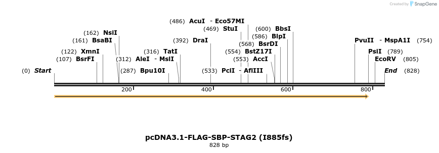 139467_map