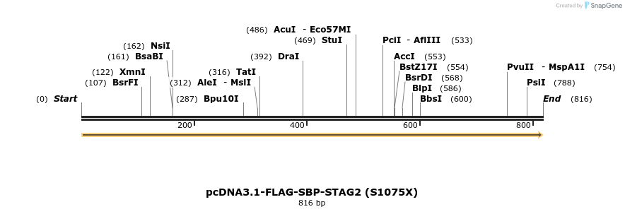 139470_map