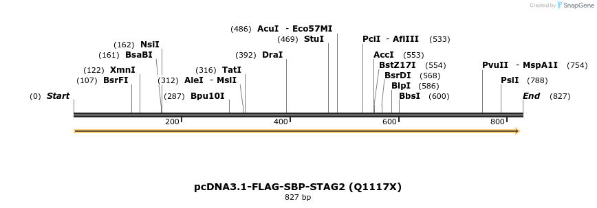 139472_map
