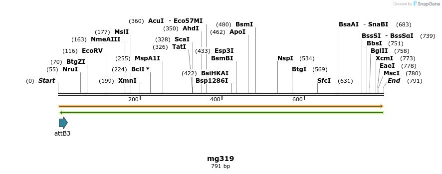 139474_map