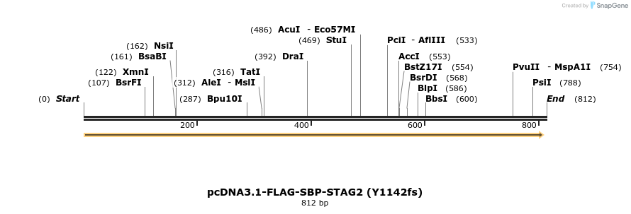 139476_map