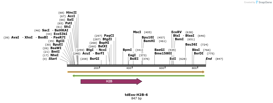 139481_map