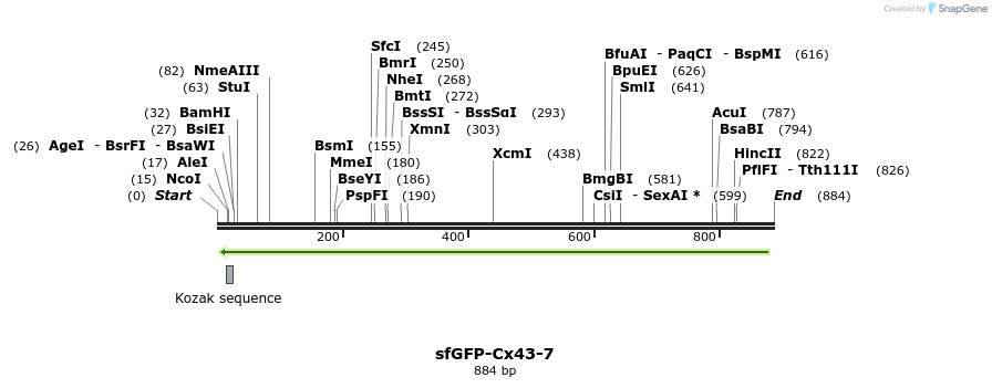 139483_map