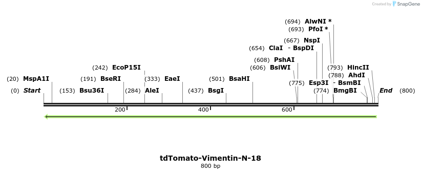139484_map