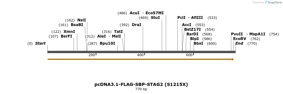 139486_map