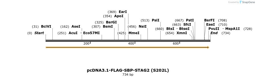 139490_map