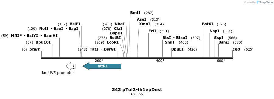 139491_map