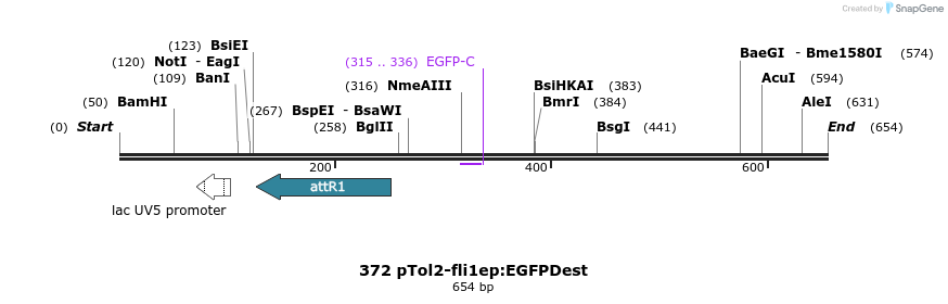 139493_map