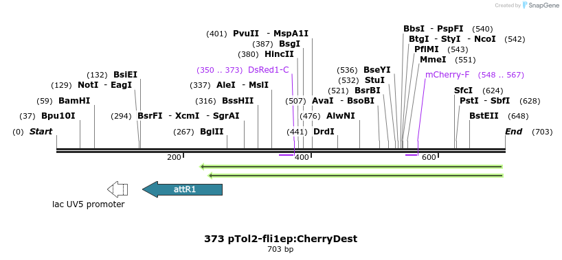 139494_map