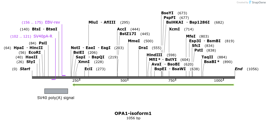 139496_map