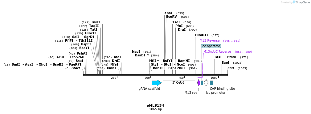 139497_map