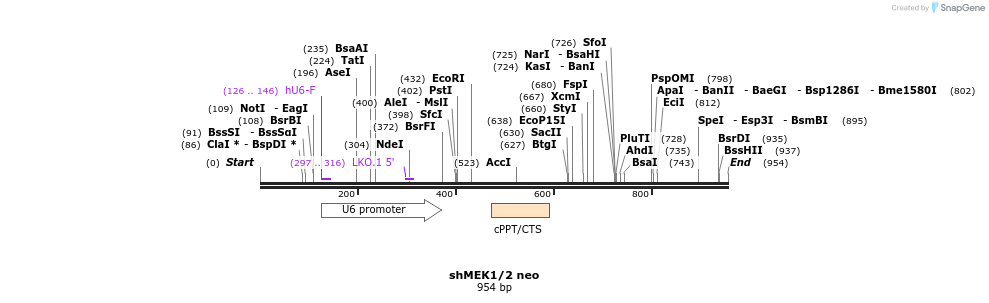 139501_map