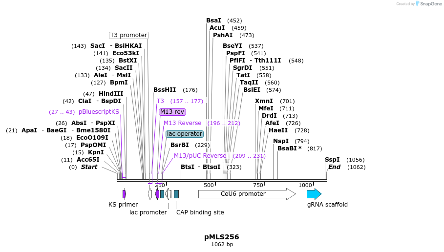 139503_map