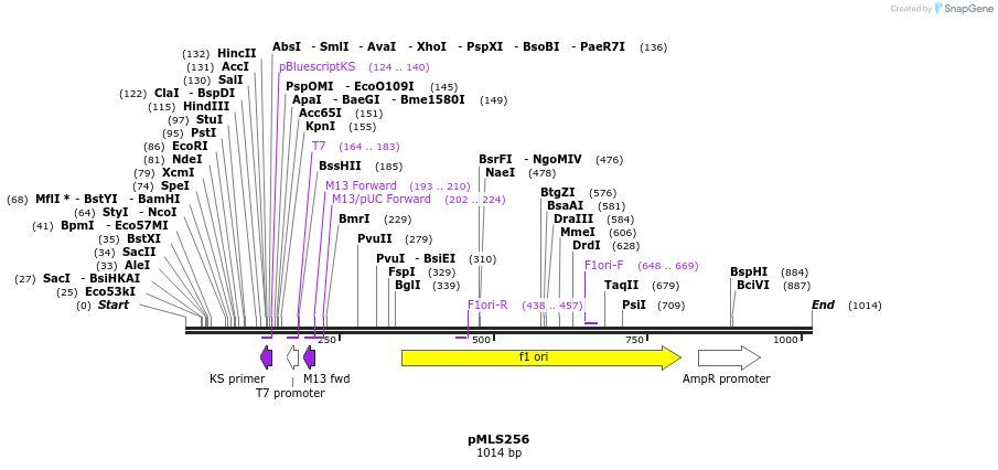 139504_map