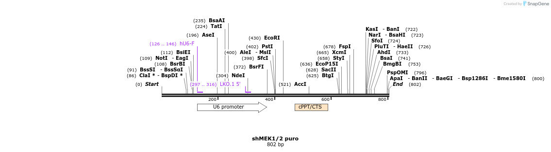 139510_map